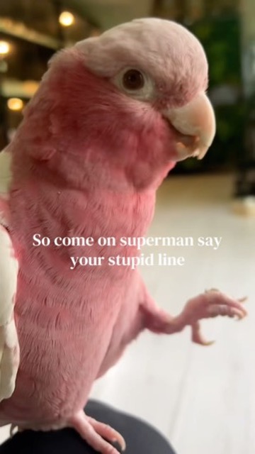 Rosie